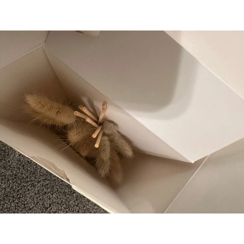MG Studio Vanilla Teakwood Fragrance Diffuser